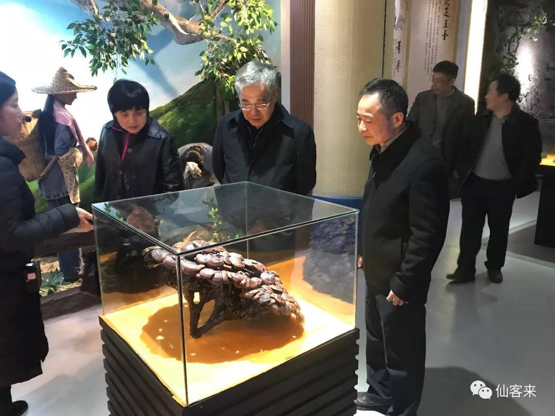 中國靈芝十大品牌|仙客來靈芝|仙客來靈芝破壁孢子粉|仙客來孢子油|仙客來靈芝飲片|仙客來破壁孢子粉|仙客來靈芝中藥飲片|馳名商標(biāo)|pureinfact.com|