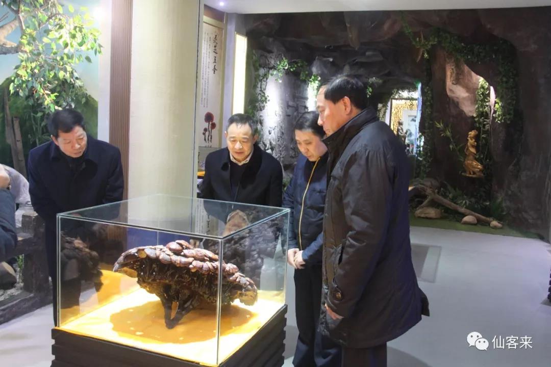 中國靈芝十大品牌|仙客來靈芝|仙客來靈芝破壁孢子粉|仙客來孢子油|仙客來靈芝飲片|仙客來破壁孢子粉|仙客來靈芝中藥飲片|馳名商標|pureinfact.com|