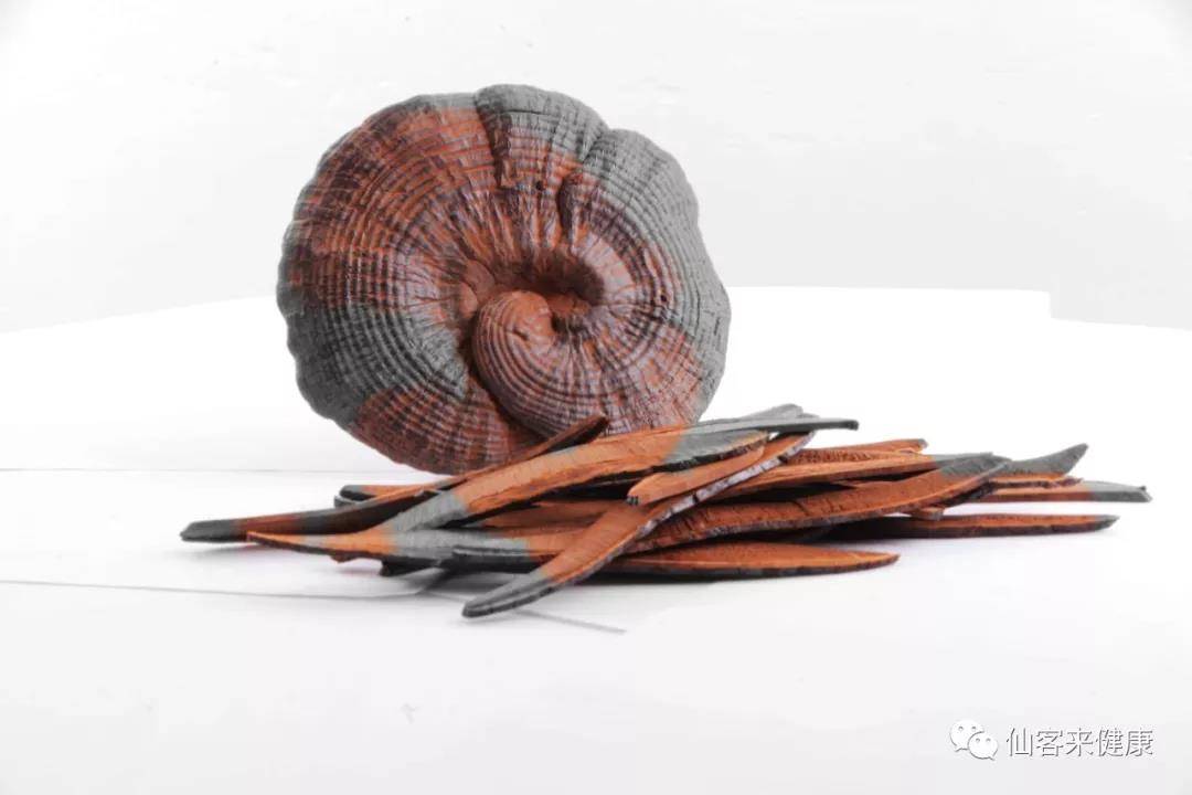 中國靈芝十大品牌|仙客來靈芝|仙客來靈芝破壁孢子粉|仙客來孢子油|仙客來靈芝飲片|仙客來破壁孢子粉|仙客來靈芝中藥飲片|馳名商標(biāo)|pureinfact.com|