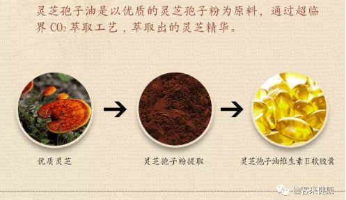 中國(guó)靈芝十大品牌|仙客來(lái)靈芝|仙客來(lái)靈芝破壁孢子粉|仙客來(lái)孢子油|仙客來(lái)靈芝飲片|仙客來(lái)破壁孢子粉|仙客來(lái)靈芝中藥飲片|馳名商標(biāo)|pureinfact.com|