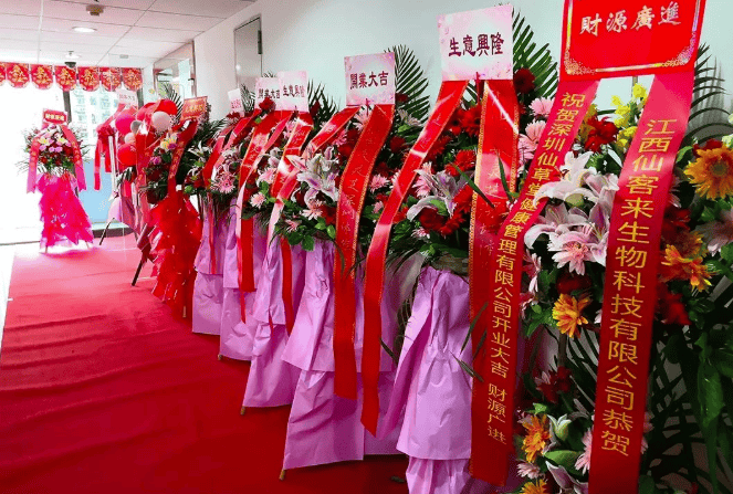 中國靈芝十大品牌|仙客來靈芝|仙客來靈芝破壁孢子粉|仙客來孢子油|仙客來靈芝飲片|仙客來破壁孢子粉|仙客來靈芝中藥飲片|馳名商標|pureinfact.com|