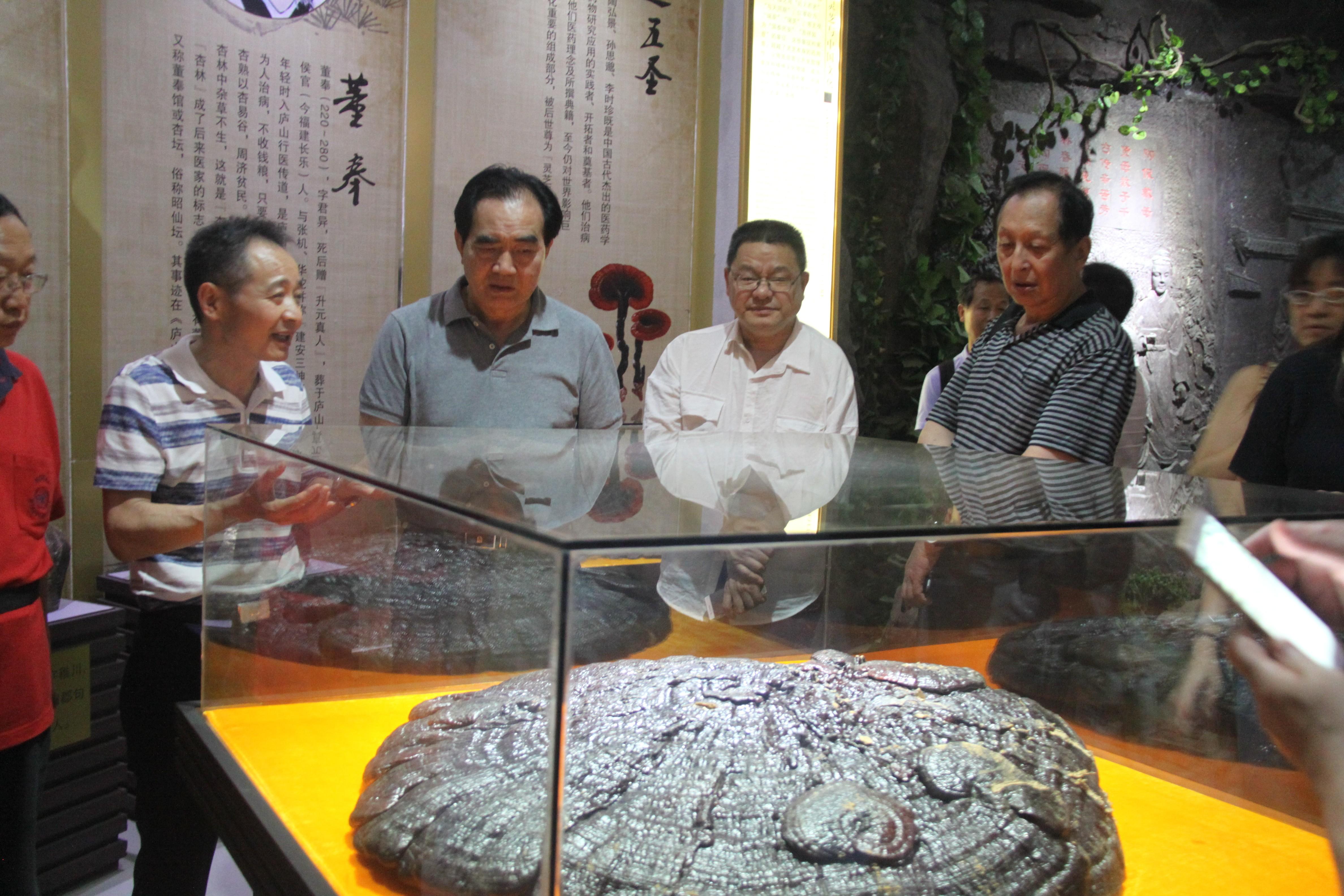 中國靈芝十大品牌|仙客來靈芝|仙客來靈芝破壁孢子粉|仙客來孢子油|仙客來靈芝飲片|仙客來破壁孢子粉|仙客來靈芝中藥飲片|馳名商標(biāo)|pureinfact.com|