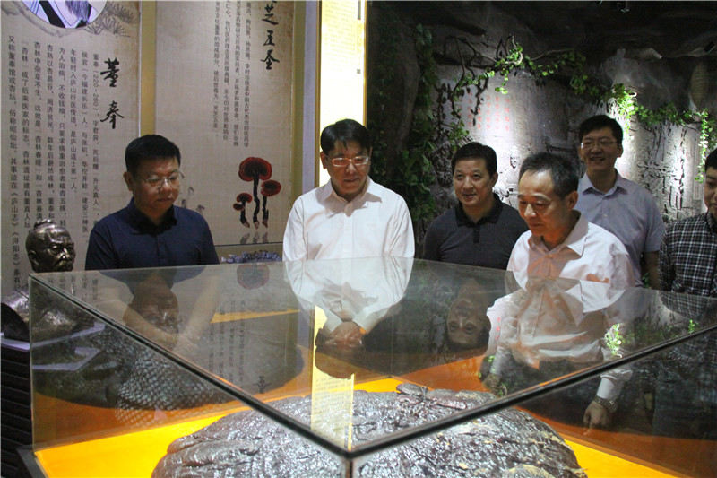 中國靈芝十大品牌|仙客來靈芝|仙客來靈芝破壁孢子粉|仙客來孢子油|仙客來靈芝飲片|仙客來破壁孢子粉|仙客來靈芝中藥飲片|馳名商標|pureinfact.com|