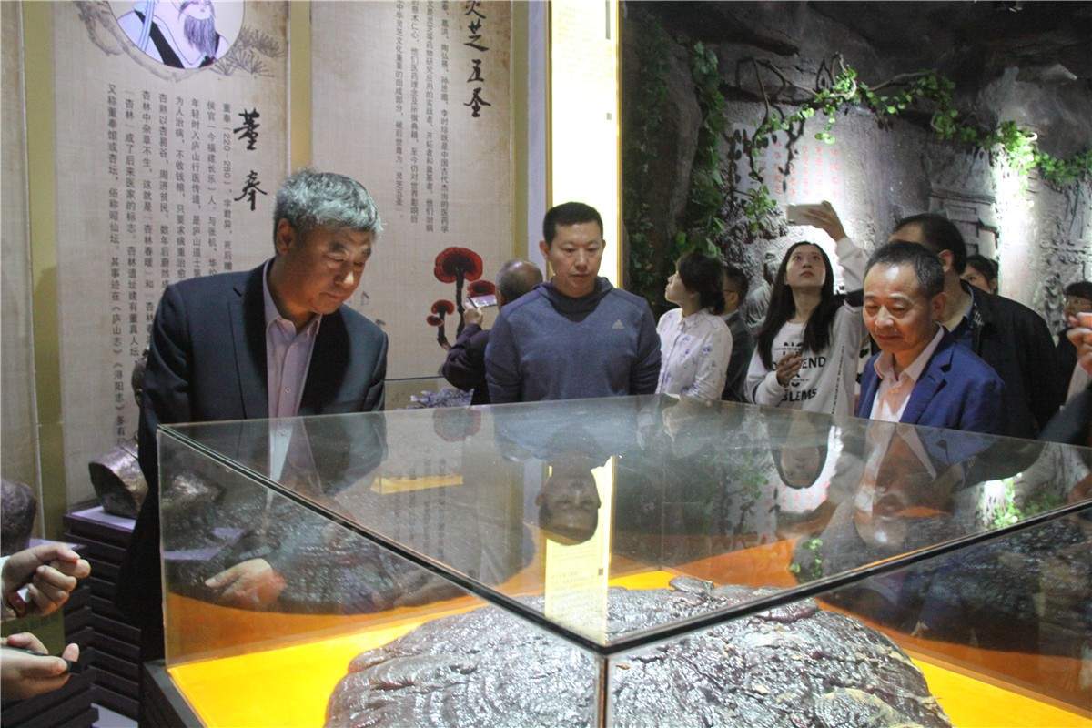 中國靈芝十大品牌|仙客來靈芝|仙客來靈芝破壁孢子粉|仙客來孢子油|仙客來靈芝飲片|仙客來破壁孢子粉|仙客來靈芝中藥飲片|馳名商標|pureinfact.com|