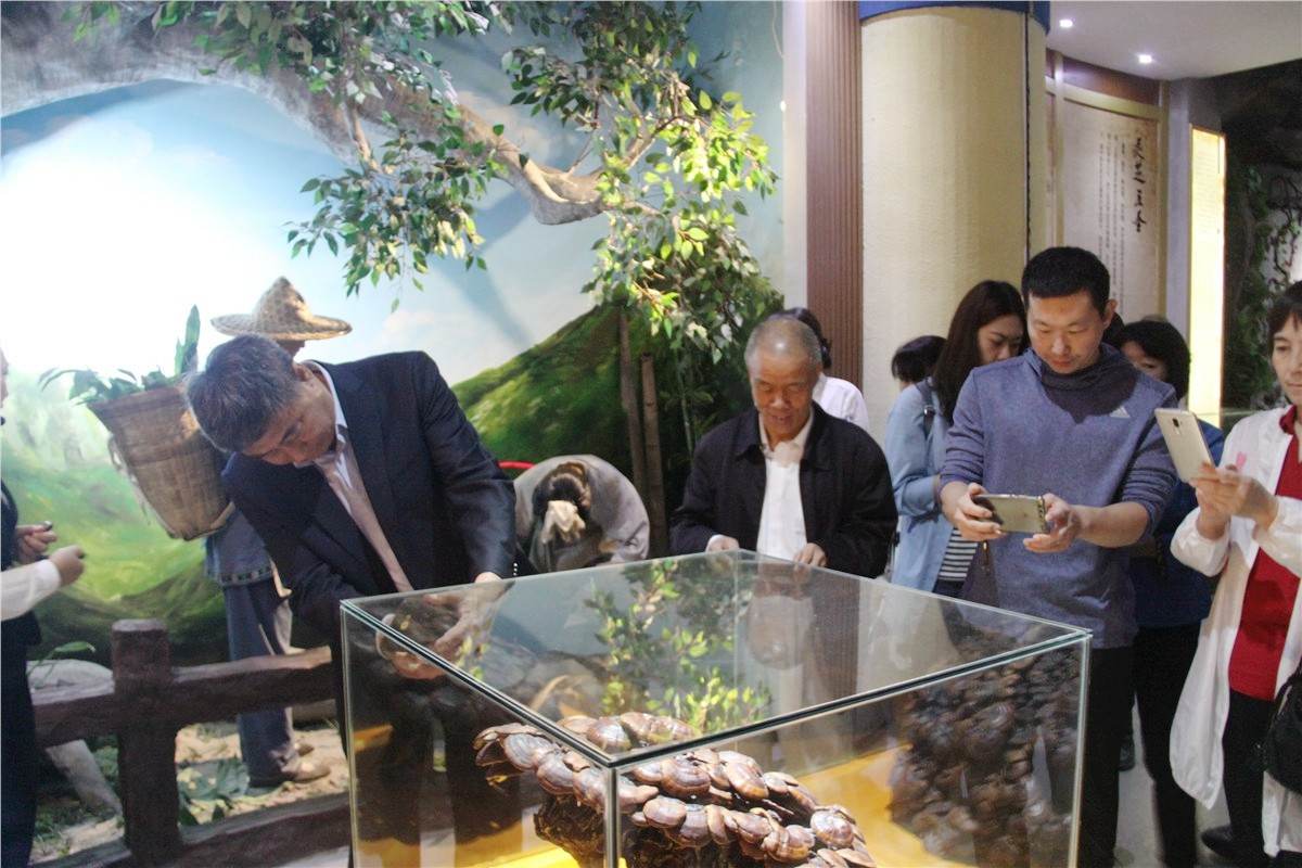中國靈芝十大品牌|仙客來靈芝|仙客來靈芝破壁孢子粉|仙客來孢子油|仙客來靈芝飲片|仙客來破壁孢子粉|仙客來靈芝中藥飲片|馳名商標|pureinfact.com|