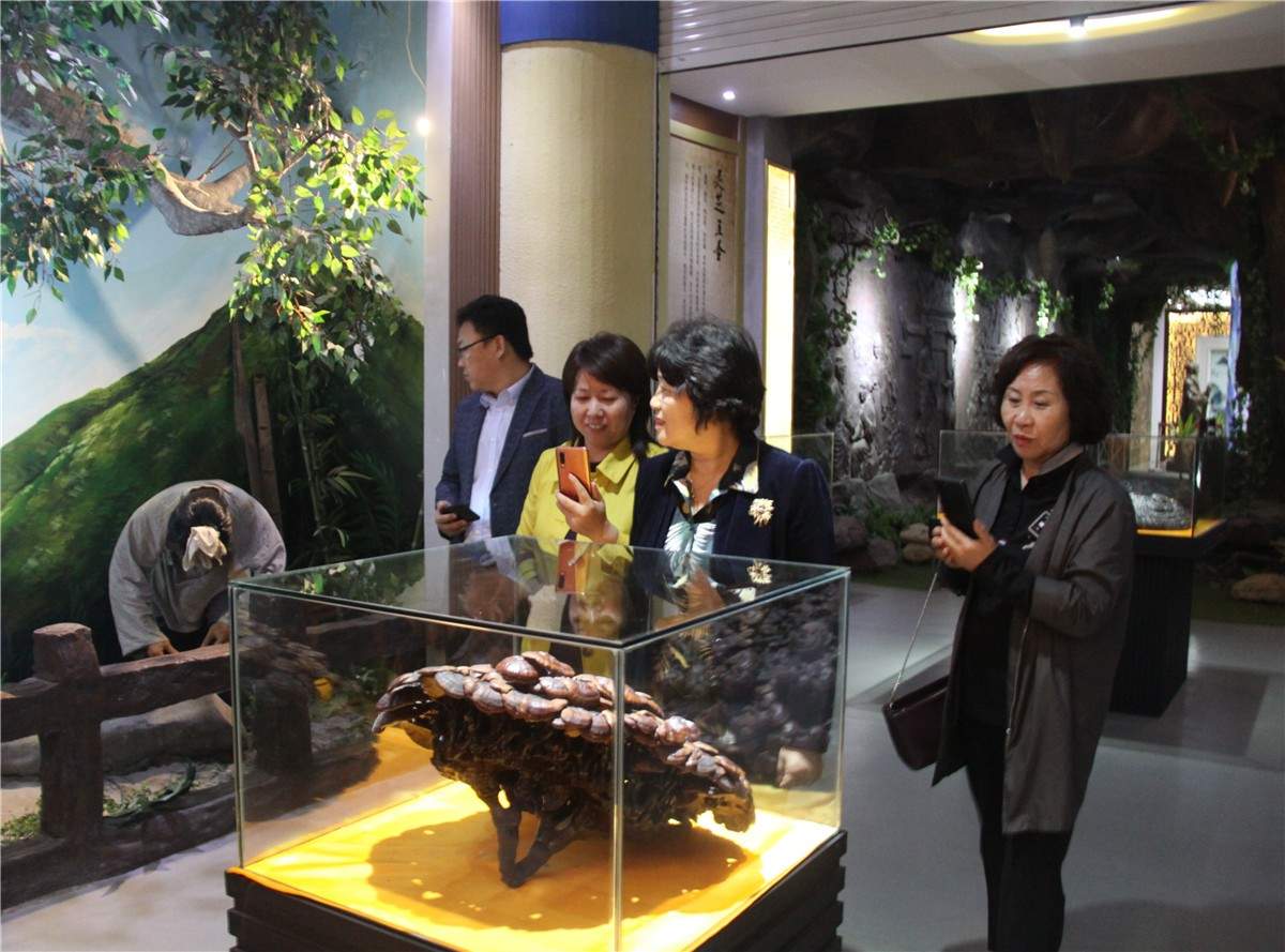 中國靈芝十大品牌|仙客來靈芝|仙客來靈芝破壁孢子粉|仙客來孢子油|仙客來靈芝飲片|仙客來破壁孢子粉|仙客來靈芝中藥飲片|馳名商標(biāo)|pureinfact.com|