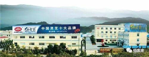 中國靈芝十大品牌|仙客來靈芝|仙客來靈芝破壁孢子粉|仙客來孢子油|仙客來靈芝飲片|仙客來破壁孢子粉|仙客來靈芝中藥飲片|馳名商標(biāo)|pureinfact.com|