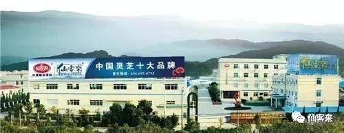 中國靈芝十大品牌|仙客來靈芝|仙客來靈芝破壁孢子粉|仙客來孢子油|仙客來靈芝飲片|仙客來破壁孢子粉|仙客來靈芝中藥飲片|馳名商標|pureinfact.com|