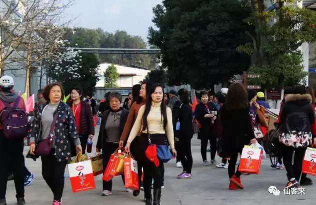 中國靈芝十大品牌|仙客來靈芝|仙客來靈芝破壁孢子粉|仙客來孢子油|仙客來靈芝飲片|仙客來破壁孢子粉|仙客來靈芝中藥飲片|馳名商標|pureinfact.com|