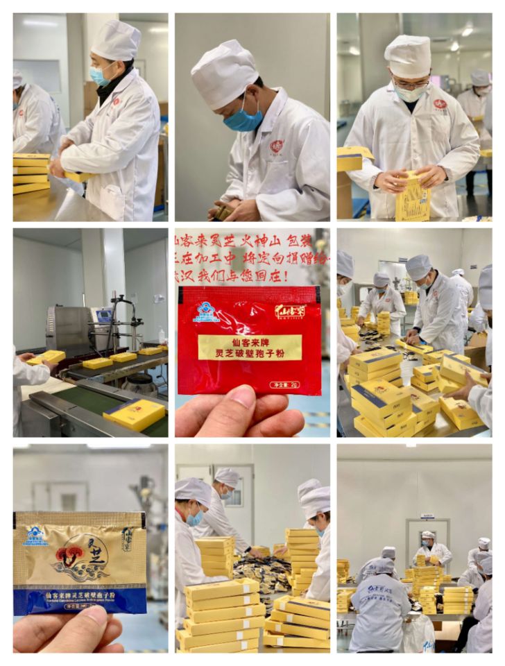 中國(guó)靈芝十大品牌|仙客來靈芝|仙客來靈芝破壁孢子粉|仙客來孢子油|仙客來靈芝飲片|仙客來破壁孢子粉|仙客來靈芝中藥飲片|馳名商標(biāo)|pureinfact.com|