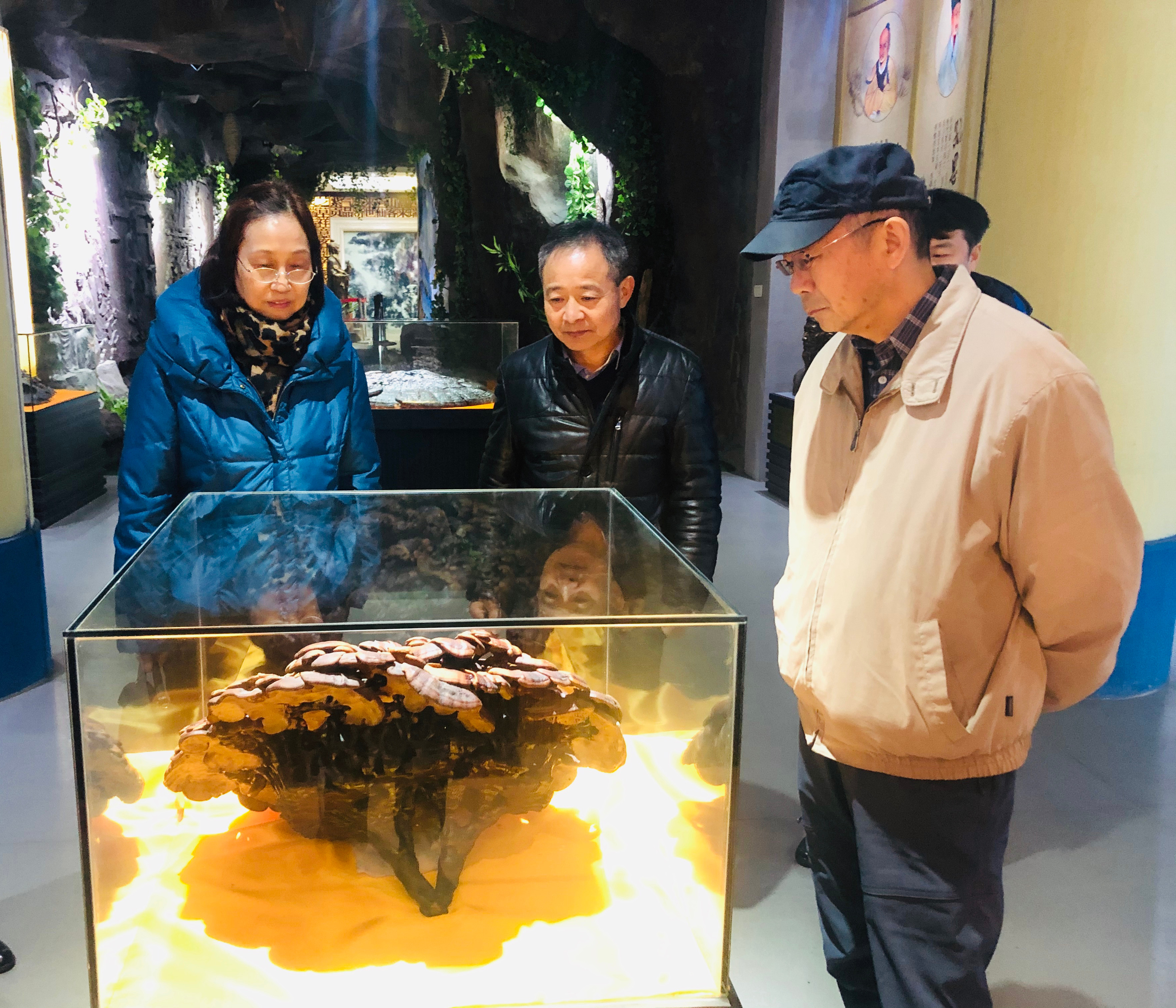杭州亞運(yùn)會(huì)官方靈芝產(chǎn)品供應(yīng)商|杭州亞運(yùn)會(huì)官方供應(yīng)商|中國靈芝十大品牌|仙客來靈芝|仙客來靈芝破壁孢子粉|仙客來孢子油|仙客來靈芝飲片|仙客來破壁孢子粉|靈芝孢子油|孢子粉|靈芝破壁孢子粉|靈芝|中華老字號