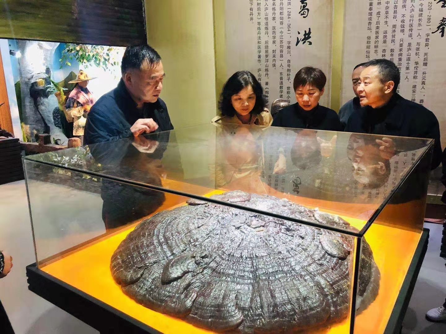 杭州亞運會官方靈芝產品供應商|杭州亞運會官方供應商|中國靈芝十大品牌|仙客來靈芝|仙客來靈芝破壁孢子粉|仙客來孢子油|仙客來靈芝飲片|仙客來破壁孢子粉|靈芝孢子油|孢子粉|靈芝破壁孢子粉|靈芝|中華老字號