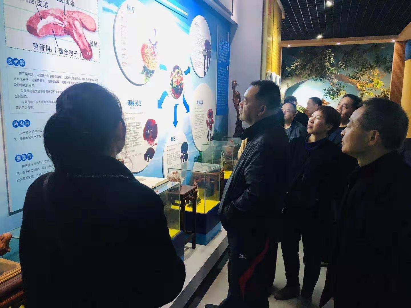 杭州亞運會官方靈芝產品供應商|杭州亞運會官方供應商|中國靈芝十大品牌|仙客來靈芝|仙客來靈芝破壁孢子粉|仙客來孢子油|仙客來靈芝飲片|仙客來破壁孢子粉|靈芝孢子油|孢子粉|靈芝破壁孢子粉|靈芝|中華老字號