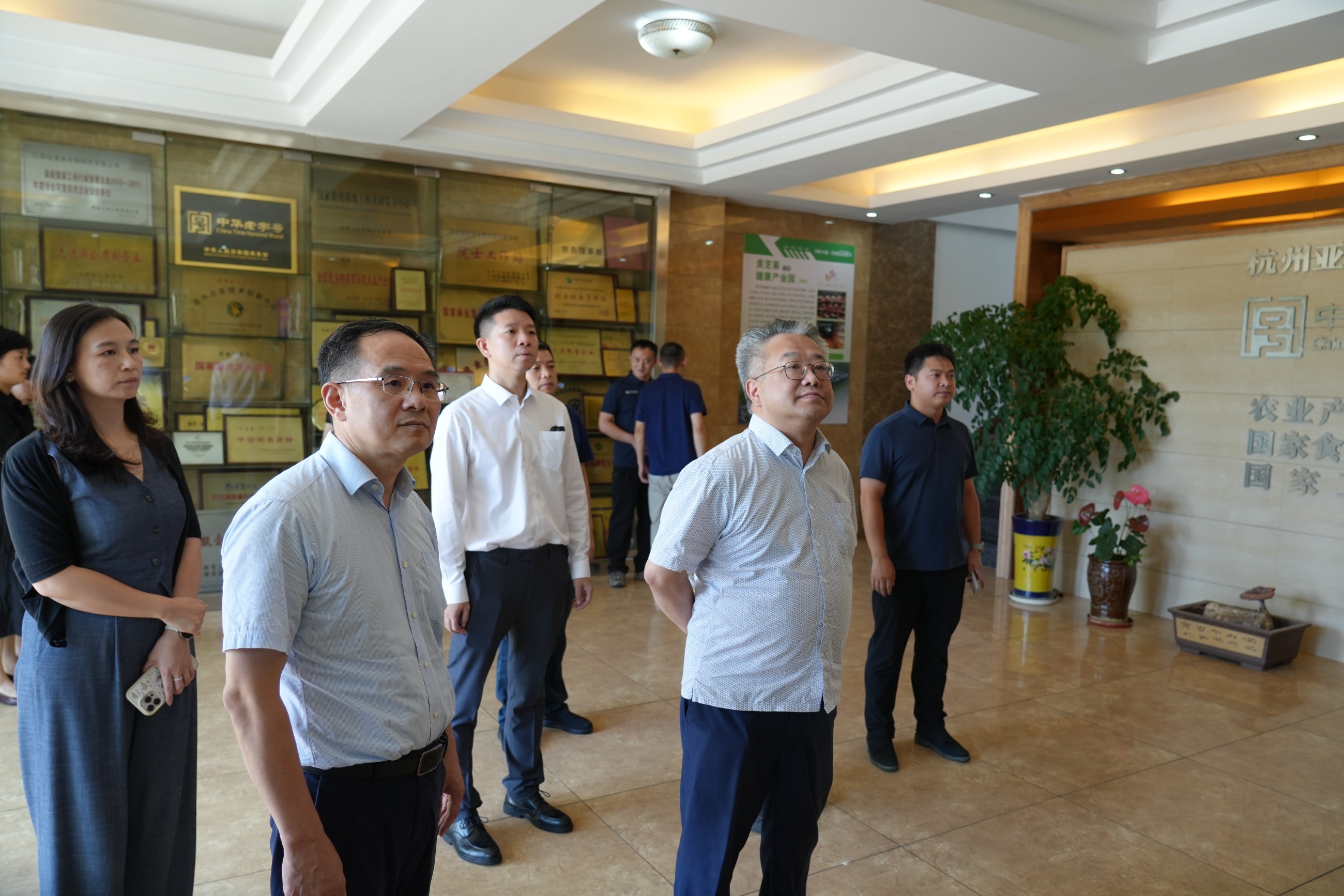 杭州亞運會官方靈芝產(chǎn)品供應商|杭州亞運會官方供應商|中國靈芝十大品牌|仙客來靈芝|仙客來靈芝破壁孢子粉|仙客來孢子油|仙客來靈芝飲片|仙客來破壁孢子粉|靈芝孢子油|孢子粉|靈芝破壁孢子粉|靈芝|中華老字號